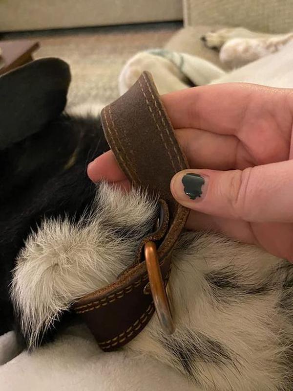 Barbour Hundehalsband mit rostfreiem Doppel-D-Ring photo review