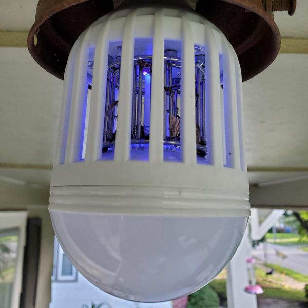 Bug Zapper LED-Glühbirne photo review