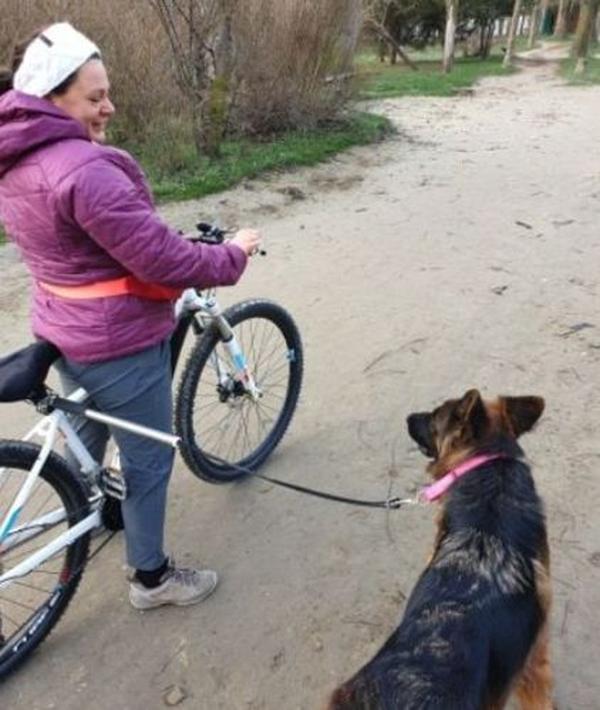 Hunde-Fahrradleine, Fahrradbefestigung, Hände, Haustiertraining, Spaziergänger, Fahrrad-Hundeleine photo review