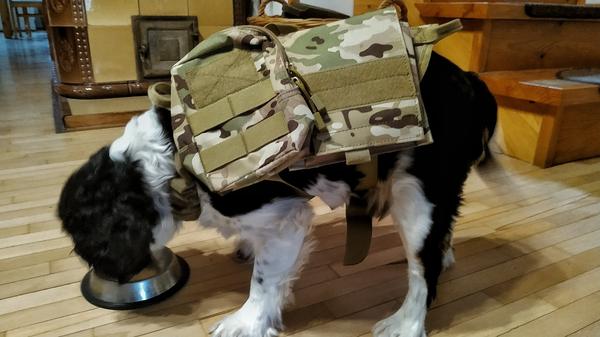 Ihrtrade Taktisches Hundegeschirr mit Molle-System und verstellbarer Weste photo review