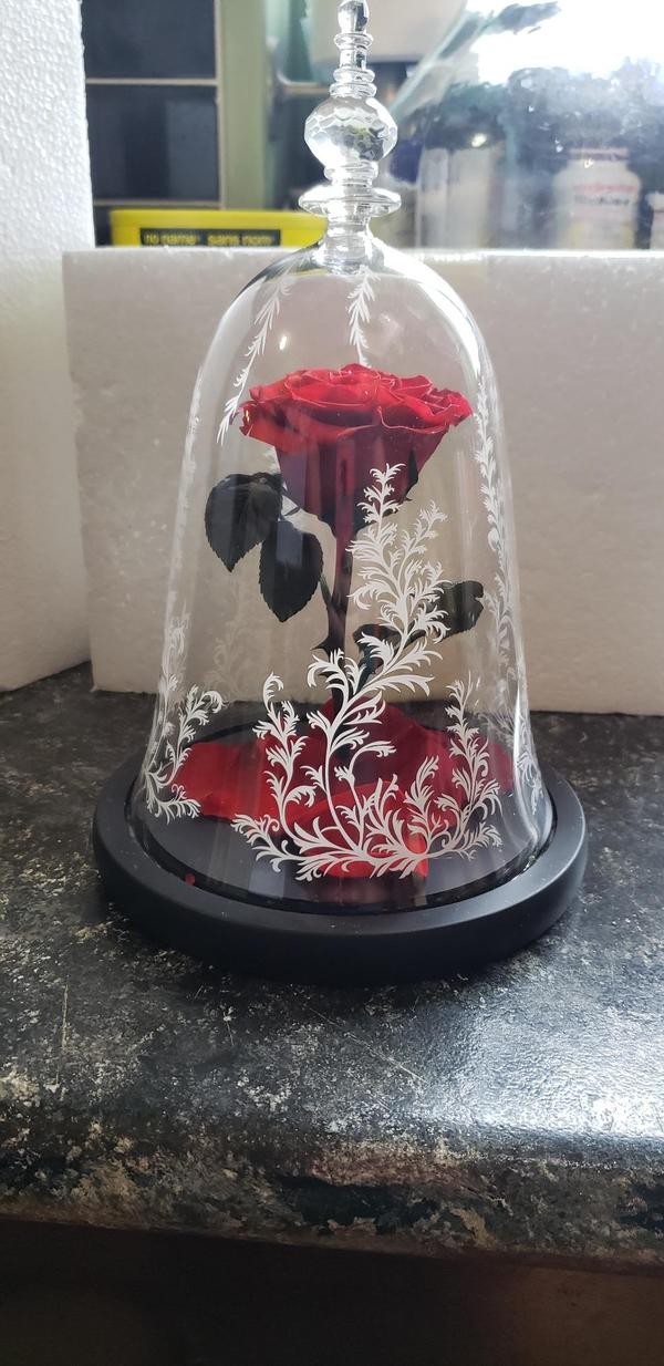 Immortal Enchanted Bell Rose LED-Glasdisplay photo review