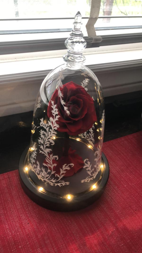 Immortal Enchanted Bell Rose LED-Glasdisplay photo review