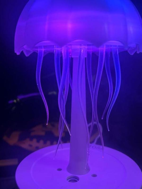 Jellyfish Dance Aromatherapie-Diffusor für ätherische Öle, genialer süßer kleiner Luftbefeuchter mit Nachtlicht in 7 Farben photo review